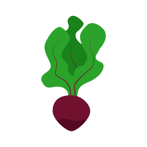 Logo de la startup Lioca